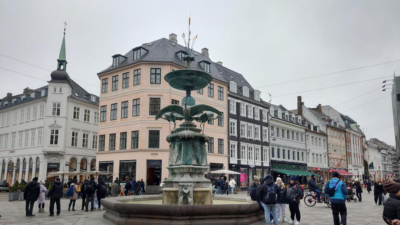 Amagertorv and the Stork Fountain