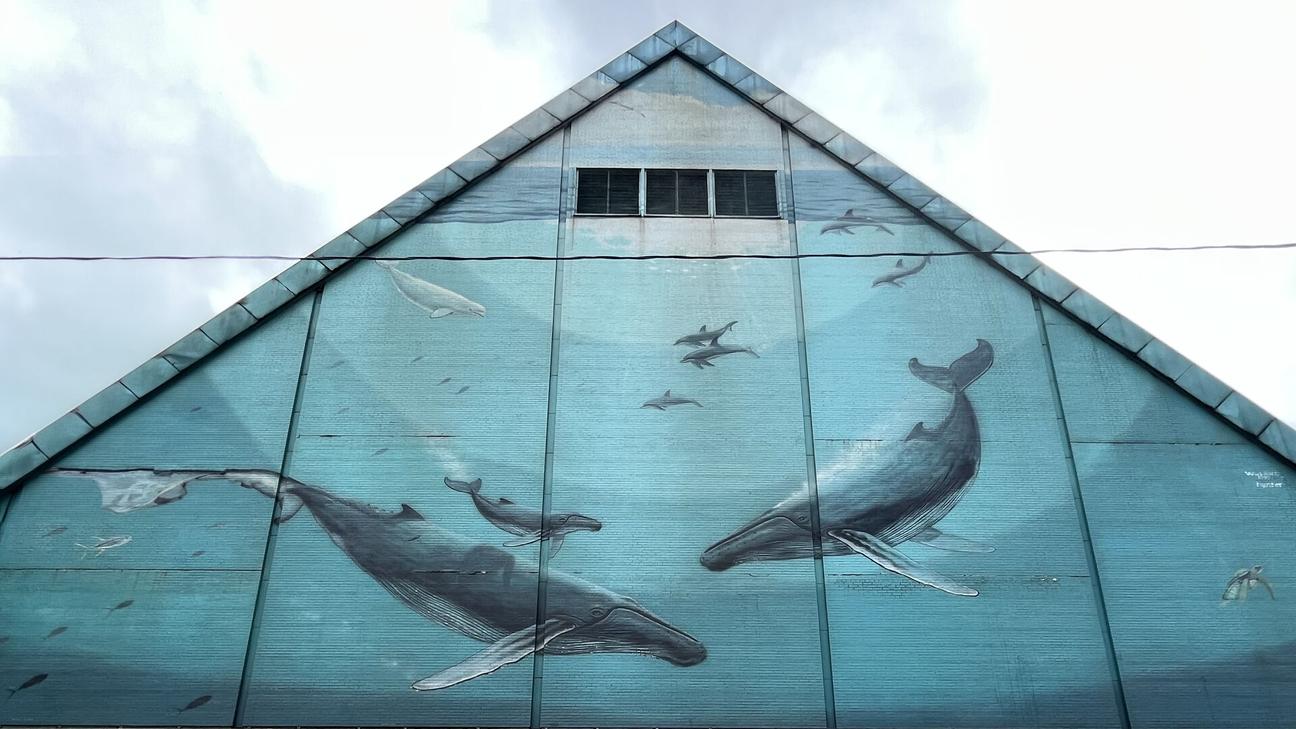 The Whaling Mural 70/100